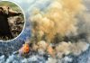 Destruição na Amazônia gera revolta e #PrayforAmazonas é assunto mais comentado do mundo