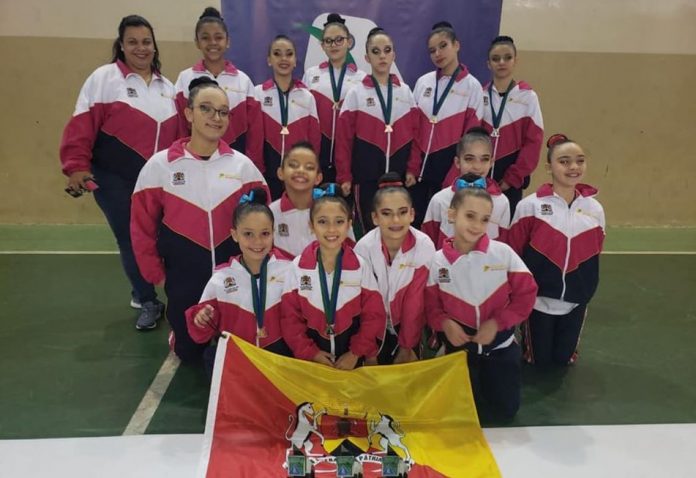 GinC3A1stica-rC3ADtimica-campeC3A3