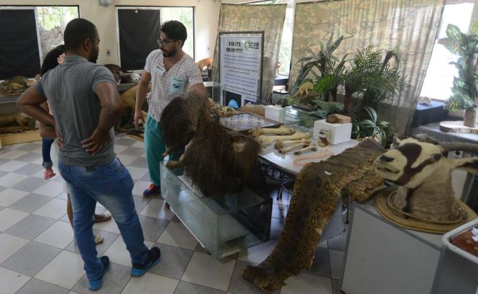 Museu-de-Zoologia-de-Sorocaba