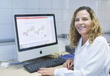 Venenos de vespa e escorpião podem auxiliar tratamento de tuberculose