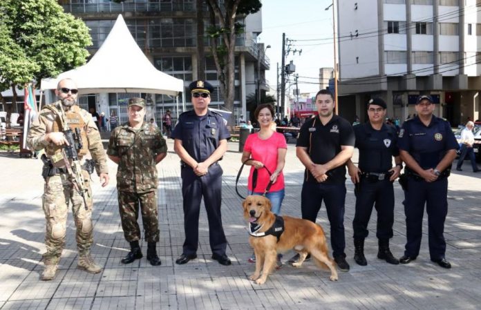 k-9