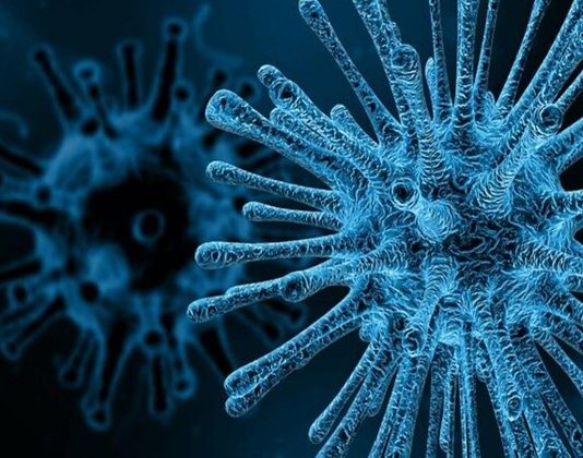 Bolsonaro cria comitê para monitorar pandemia de coronavírus