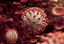 Afinal, morreram 1.382 ou 525 brasileiros por Covid-19 neste domingo?