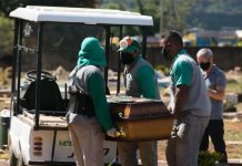 Ibaneis: “Chegamos próximo ao pico. Esperamos começar a cair em 11 dias”