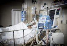 Saúde do DF começa a testar vermífugo em pacientes com coronavírus