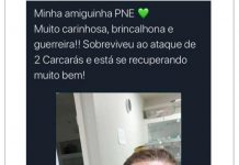 Fotos: antes de ser picado por Naja, jovem ostentava animais ilegais na web