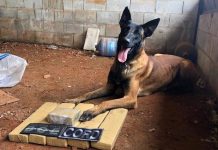 Homem que fazia delivery de cocaína no Plano Piloto é preso com R$ 90 mil