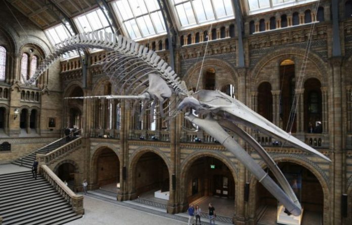 Museu-de-Historia-Natural-revisa