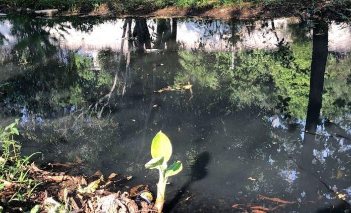 Rio-Pirajibu-recebe-esgoto-sem-tratamento-de-Itu