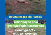 TEMPO DE PLANTAR CRUZEIRO/DF reúne  voluntários para plantar  61 mudas de árvores