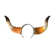 Vereador na Paraíba apresenta proposta para a criação do “Dia do Corno”