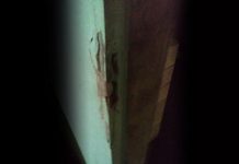 Busca por Lázaro completa 8 dias bandido invade outra fazenda, prepara comida e some novamente