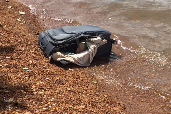 WhatsApp-Image-2016-10-27-at-11.11.07