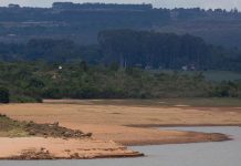 Homem é decapitado e tem cabeça exposta por rivais em vídeo