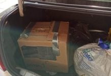 Casal é preso ao ser pego levando cachorro dentro de porta-malas