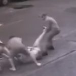 Brutalidade: adolescente de 14 anos chuta a cabeça de idoso desmaiado e vítima fica em estado grave