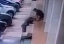 Vídeo: assaltante e morador trocam socos e chutes na Asa Norte