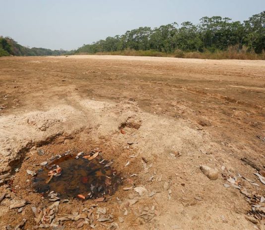 DF Vive Maior Sequência de Dias Sem Chuvas em 60 Anos Nesta Quarta