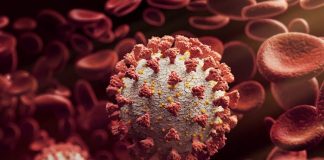 Ômicron tem menor gravidade que outras variantes de Covid, indica CDC