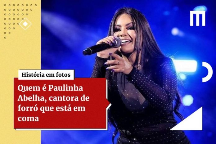 Paulinha-Abelha-1-1024x683