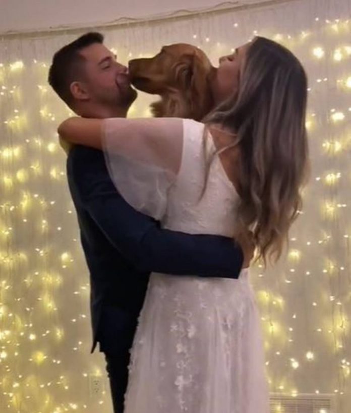 casal-cachorro-valsa-870x1024
