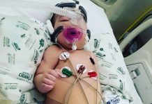 Mãe pede ajuda para salvar vida de bebê com AME: “Me sinto impotente”