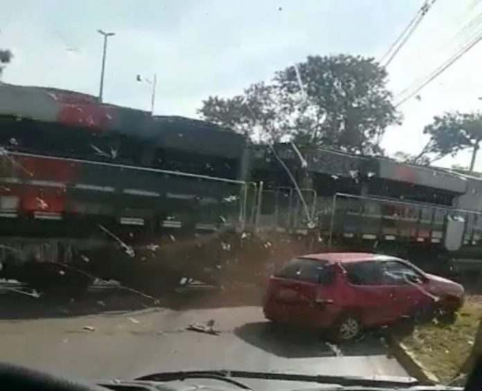 WhatsApp Image 2022-05-18 at 2.49.28 PM