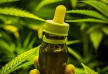 Expert fala como o canabidiol pode ajudar no tratamento da ansiedade