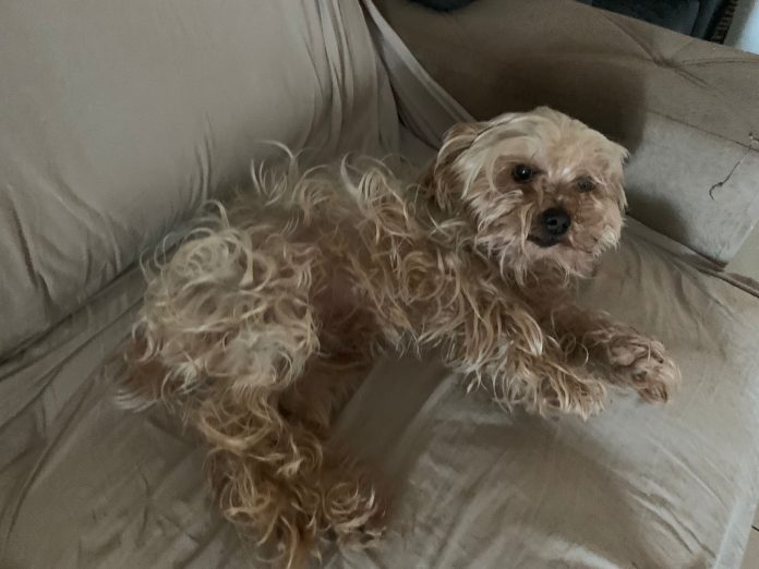 WhatsApp Image 2022-11-10 at 08.32.49