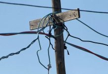 Olha o Gato! Rede de academia do DF é alvo de operação por suspeita de furto de energia