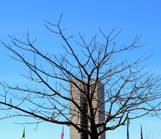 DF entra em alerta com onda de calor e população deve manter cuidados