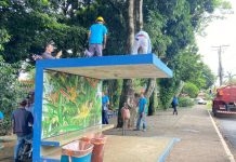 Pontos de ônibus do Cruzeiro passam por limpeza para combate à dengue