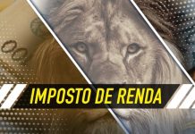 Declaração do Imposto de Renda: Riscos e Penalidades para quem não declara para o Leão