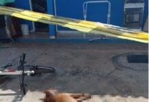 Pit bull mata tutora a mordidas e é morto por vizinhos em ato de fúria