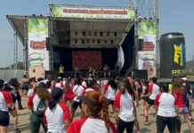 Com entrada gratuita, Jungle Food Festival estreia em Brasília com  cardápio ousado