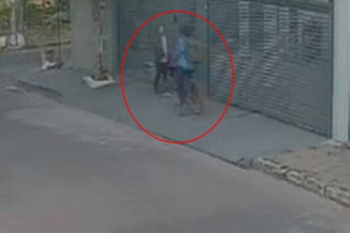 WhatsApp Image 2025-07-31 at 13.21.00