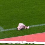 Torcedor do Corinthians que atirou cabeça de porco é condenado a um ano de prisão