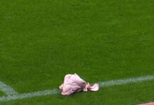 Torcedor do Corinthians que atirou cabeça de porco é condenado a um ano de prisão