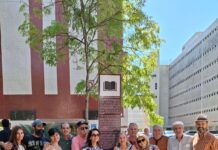 Projeto Passos Pioneiros resgata memória da SQS 106 e transforma quadra em museu a céu aberto