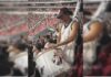 Covardia -Torcedor do Vasco é esfaqueado e morto por flamenguistas dentro de ônibus no DF