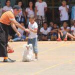ESTAÇÃO NATAL LEVA PROGRAMAÇÃO DE FÉRIAS PARA A ÁREA EXTERNA DA CAIXA CULTURAL