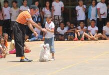 ESTAÇÃO NATAL LEVA PROGRAMAÇÃO DE FÉRIAS PARA A ÁREA EXTERNA DA CAIXA CULTURAL