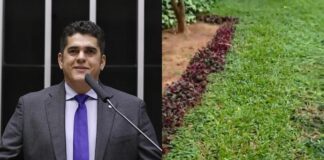 PF faz busca em apartamento do deputado Antonio Doido e acha celulares jogados pela janela