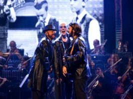 Uma Noite com os Bee Gees” chega a Brasília pela primeira vez em versão sinfônica